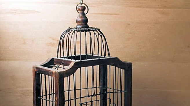 Upcycling Trend: Vintage Bird Cages Repurposed for Bathroom Storage