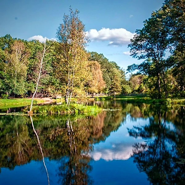 Exploring the Quietest State Parks for a Tranquil Weekday Getaway