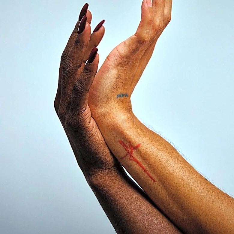 Claudia Rankine's 'Triage' Explores Complexities of American Personhood