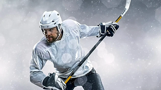 Detroit Red Wings Focus on Top Prospects for 2026-27 NHL Season