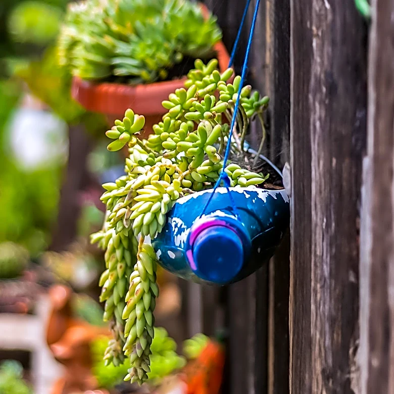 Savannah's Starland District: A Creative Hub with Upcycled Charm