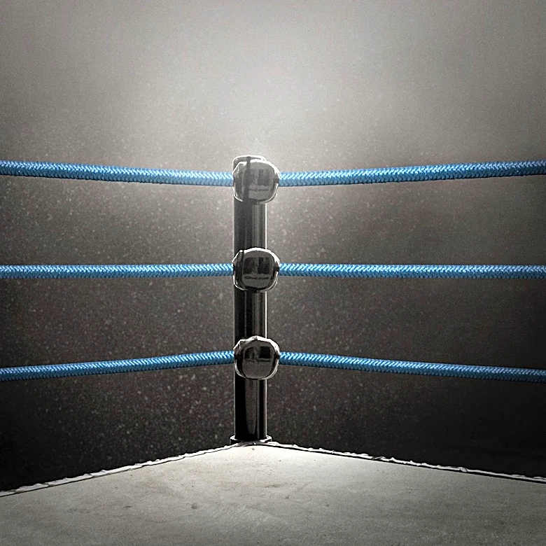 WWE Rumors: Scott Steiner's Son Brock Eyes Wrestling Career