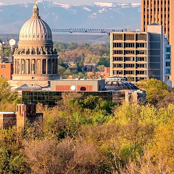 Boise Cascade's Q2 Earnings Surpass Expectations Amid Market Challenges