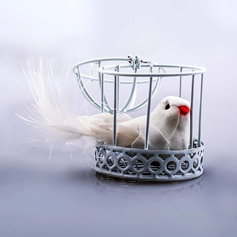 Vintage Bird Cages Offer Creative Toilet Paper Storage Solutions