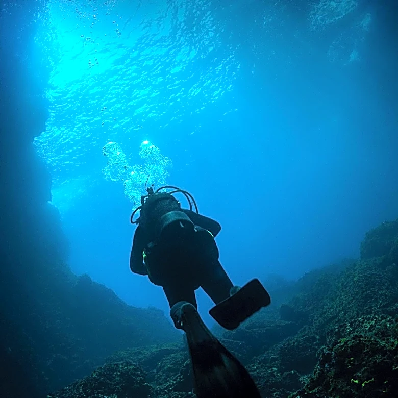 Japan's Ama Divers: Preserving a Millennia-Old Tradition Amid Modern Challenges