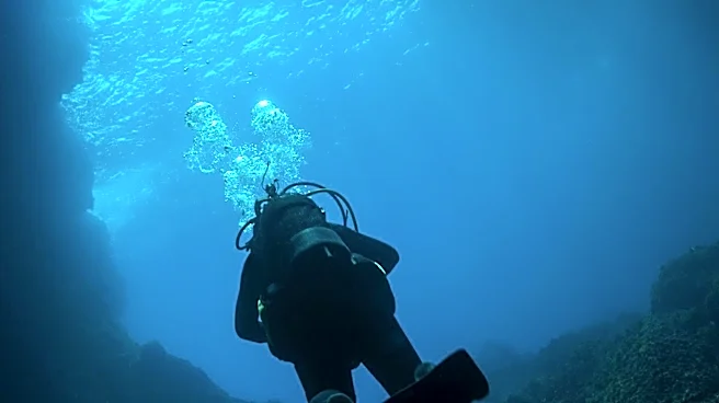 Japan's Ama Divers: Preserving a Millennia-Old Tradition Amid Modern Challenges
