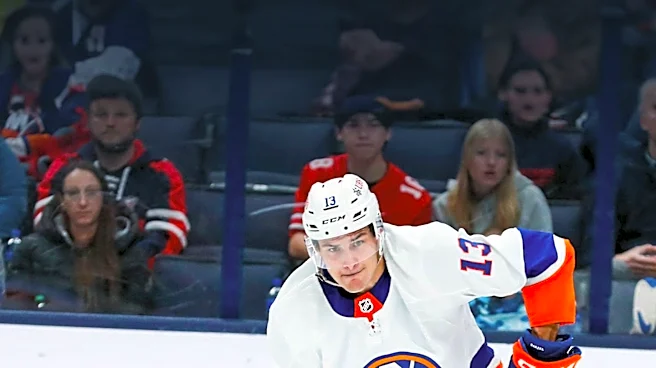 NHL Seeks Media Manager to Oversee Video Distribution and Content Management