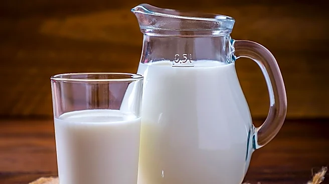Global Food Commodities Ranked by Value: Milk Tops the List