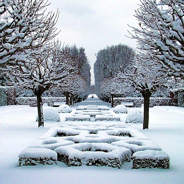 Farmers' Almanac Predicts Challenging Winter Weather for U.S. Gardens