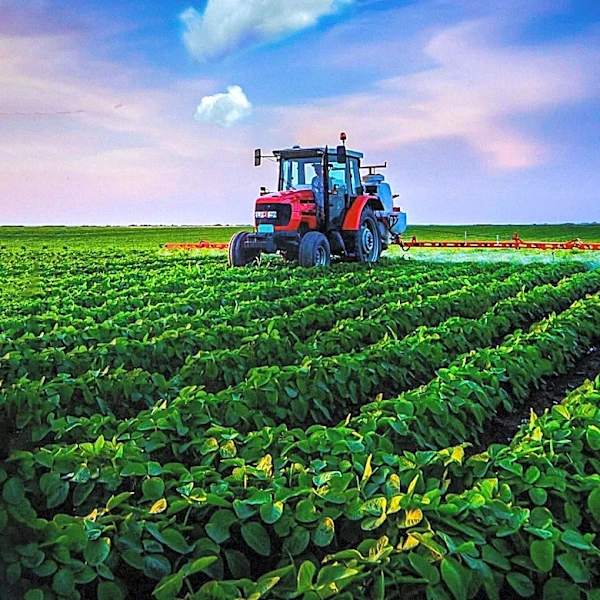 Fresh Del Monte Produce Expands Seasonal Workforce in Wisconsin