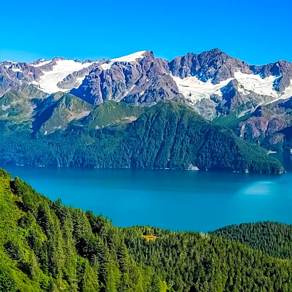Kachemak Bay State Park Offers Unique Summer Adventures in Alaska