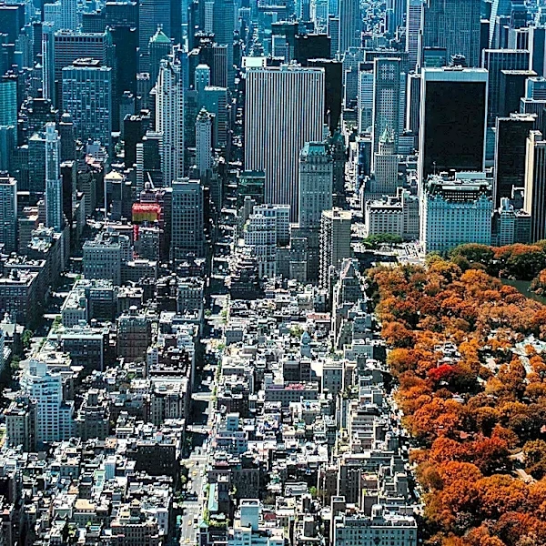 New York City's Economic Divide: A Decade of Growth and Challenges