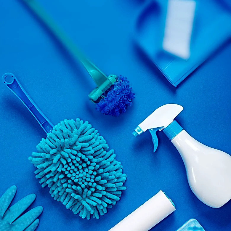 Former Professional Cleaner Recommends Affordable Supplies from Dollar Tree