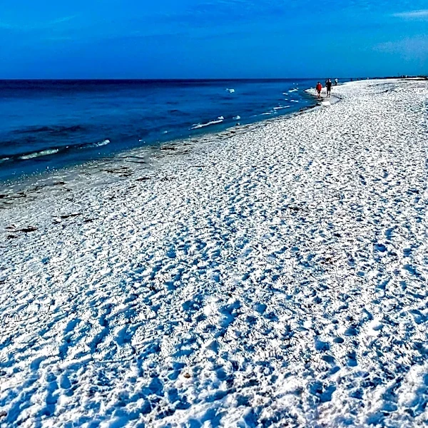 Sanibel Island Emerges as a Top Family-Friendly Destination in 2026