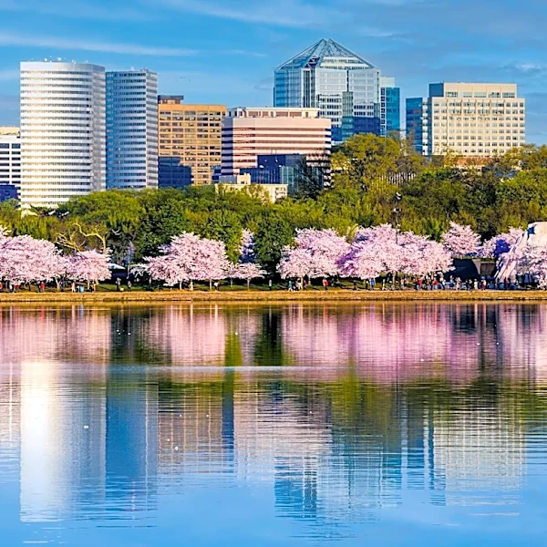 Exploring Northern Virginia's Hidden Gems: Unique Destinations Beyond the Usual Attractions
