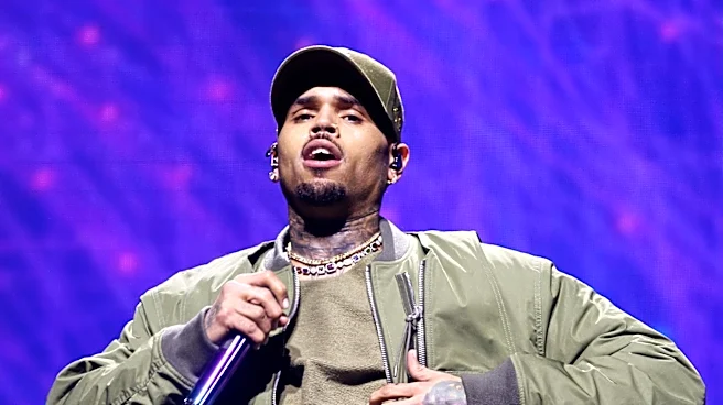 Chris Brown Challenges Effort to Use Tour Earnings for $13M Judgment