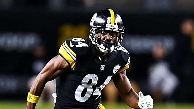 Pittsburgh Steelers Training Camp Highlights: Key Players Emerge