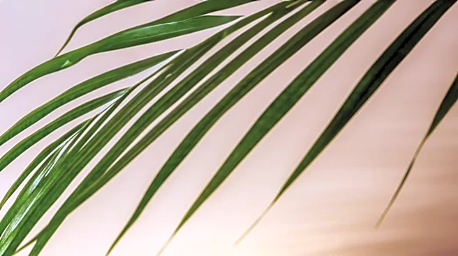 Barrier Repair Creams Highlighted for Sensitive Skin Benefits