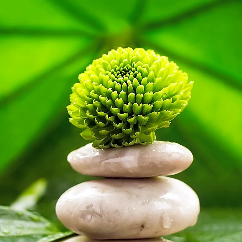 District Wellness Offers Comprehensive Chiropractic Care for Rosslyn Residents