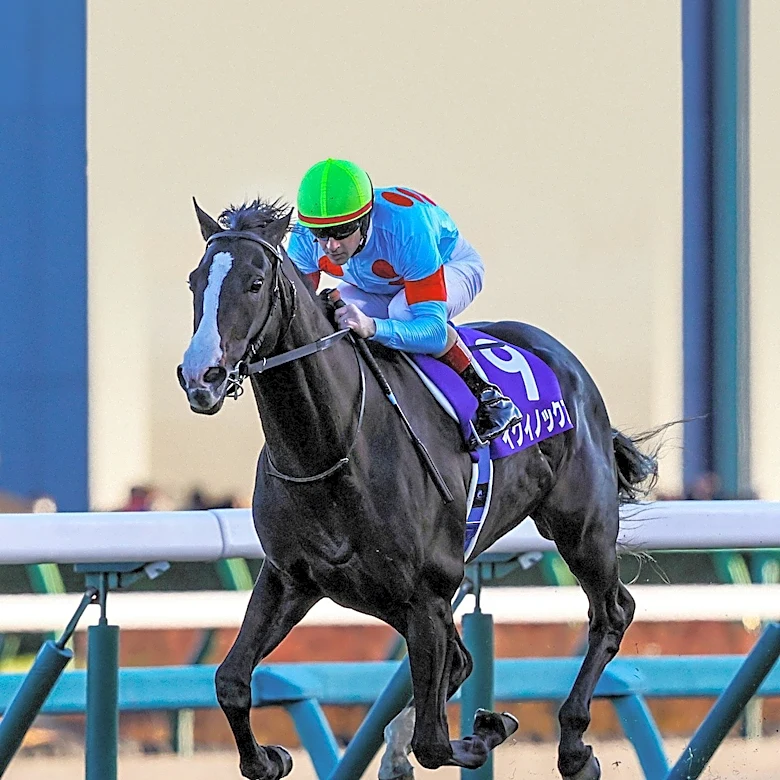 Zedan Racing Acquires Curlin Colt for $2 Million at Fasig-Tipton Sale