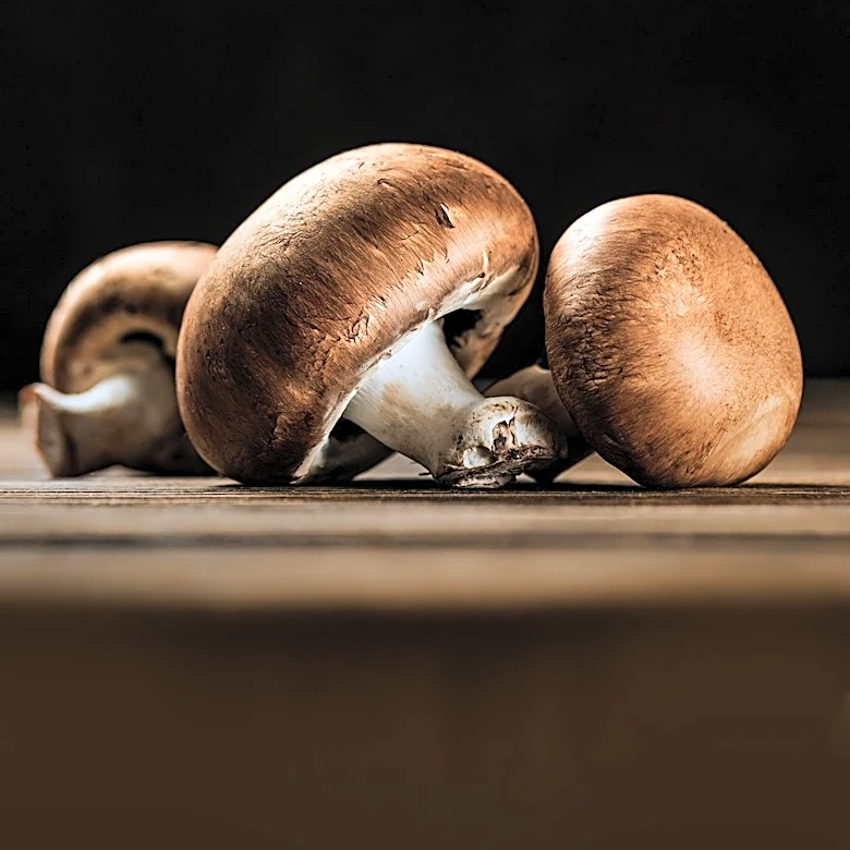 Global Food Commodity Rankings Highlight Economic Value of Mushrooms