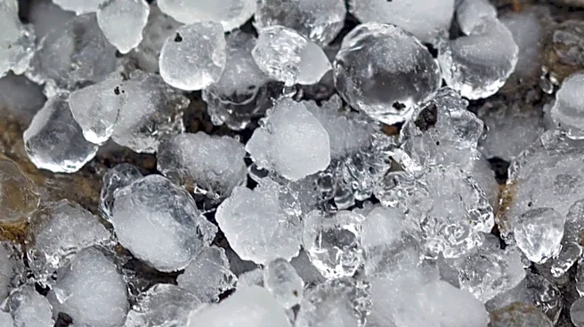 Laura Poitras Highlights Minneapolis ICE Resistance in New Documentary Short