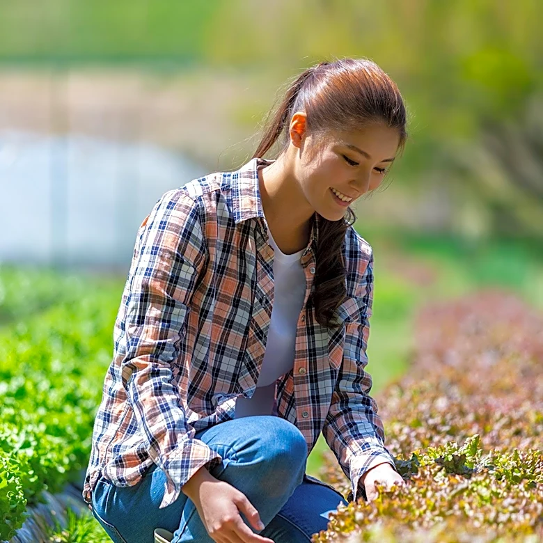 Organic Farming Practices Highlight Environmental and Health Benefits