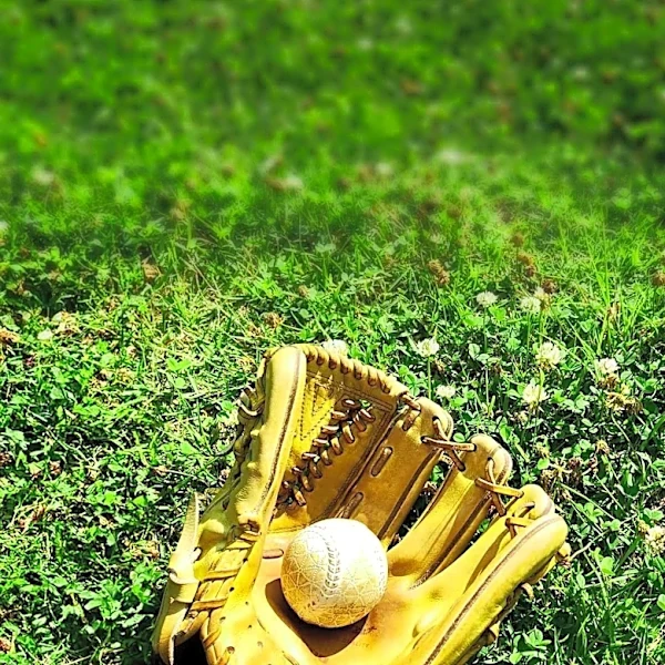 Houston Astros Claim Nelson Velázquez, Designate Shay Whitcomb for Assignment