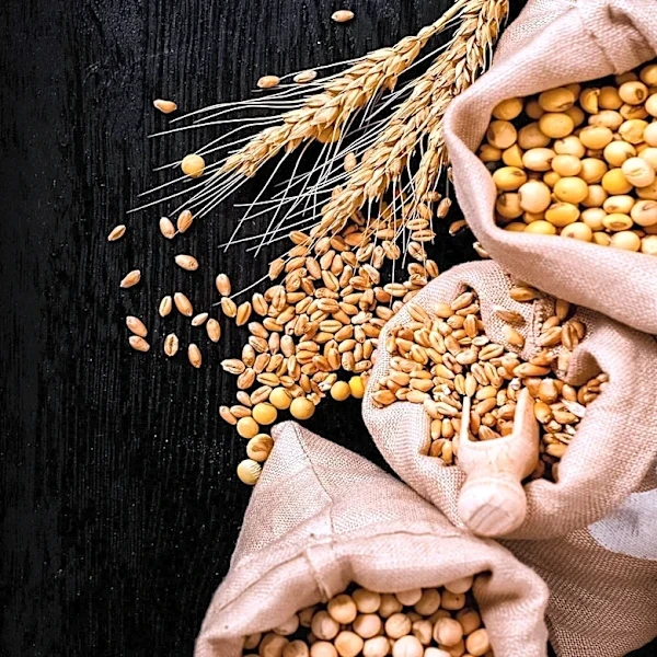 Commodity Markets Experience Mixed Week Amid Energy and Grain Weakness