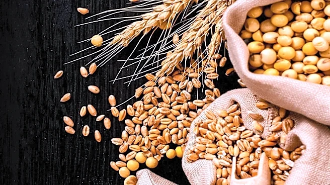 Commodity Markets Experience Mixed Week Amid Energy and Grain Weakness