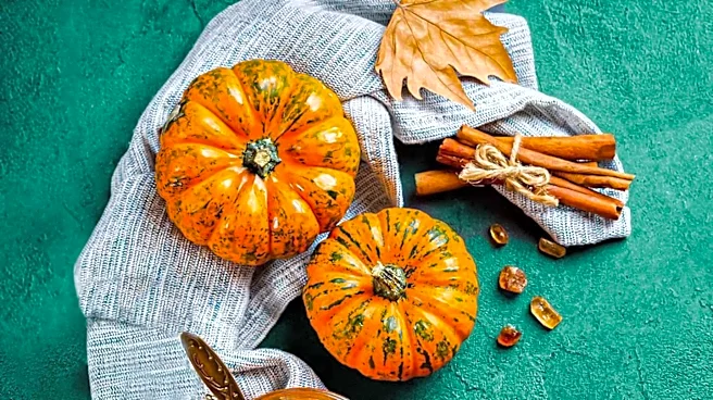 Fall Flavors Expand Beyond Pumpkin Spice in Seasonal Food Trends