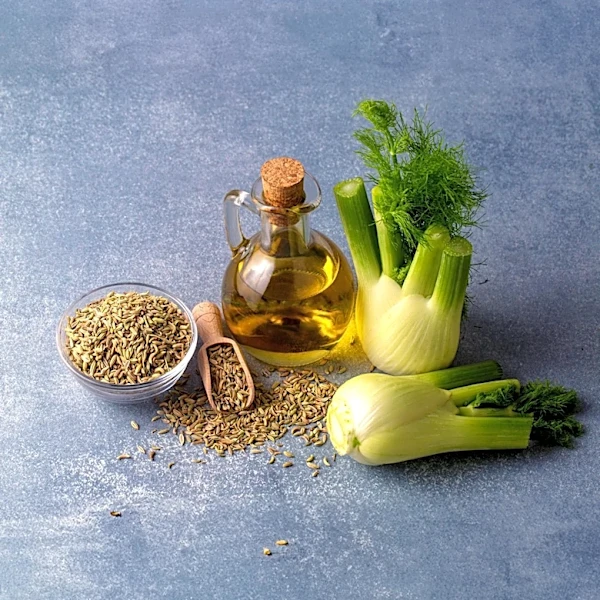 Berkshire Botanical Garden Highlights Medicinal and Culinary Uses of Fennel and Borage