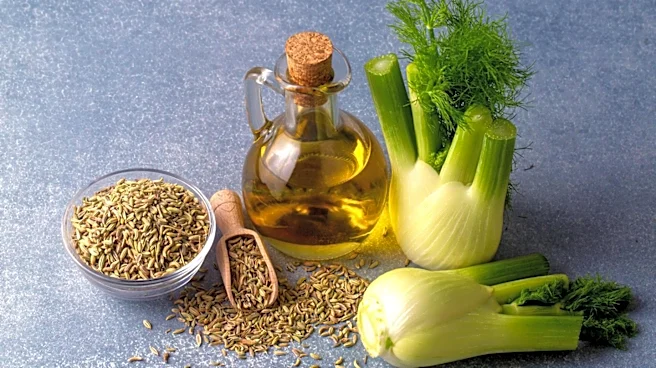 Berkshire Botanical Garden Highlights Medicinal and Culinary Uses of Fennel and Borage