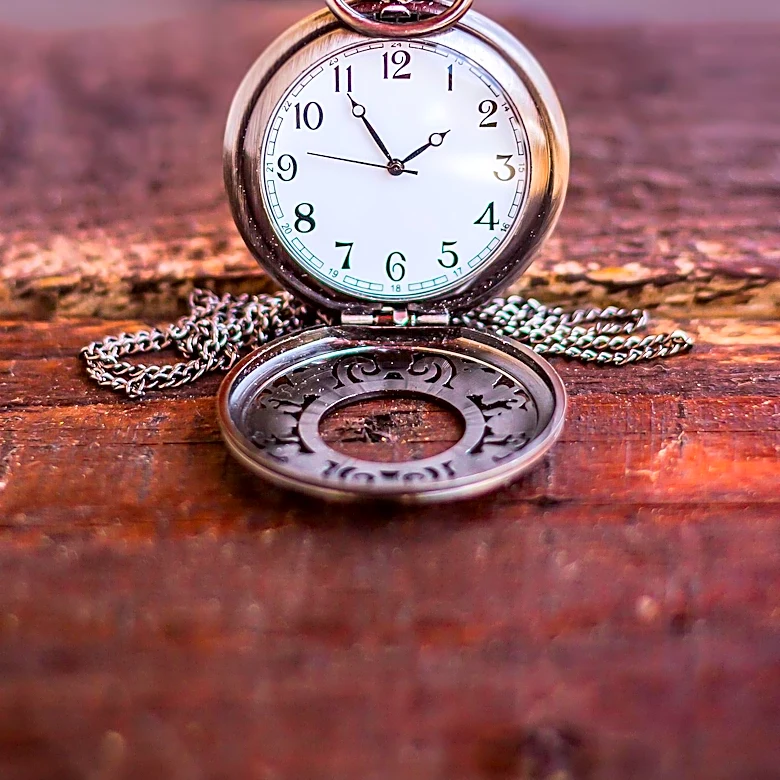 Timex Watches: A Hidden Gem in the World of Collectibles