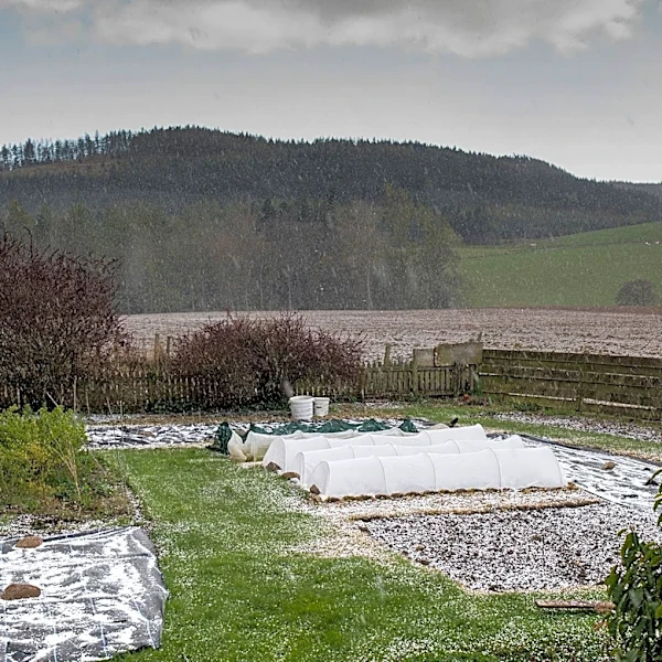 Farmers' Almanac Predicts Unpredictable Winter Weather, Urges Garden Preparations