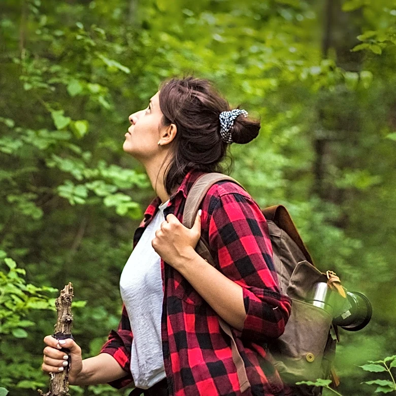 Forest Bathing Gains Popularity for Stress Relief and Health Benefits