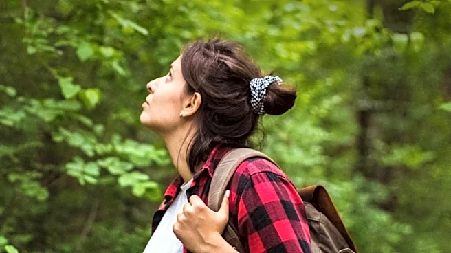 Forest Bathing Gains Popularity for Stress Relief and Health Benefits