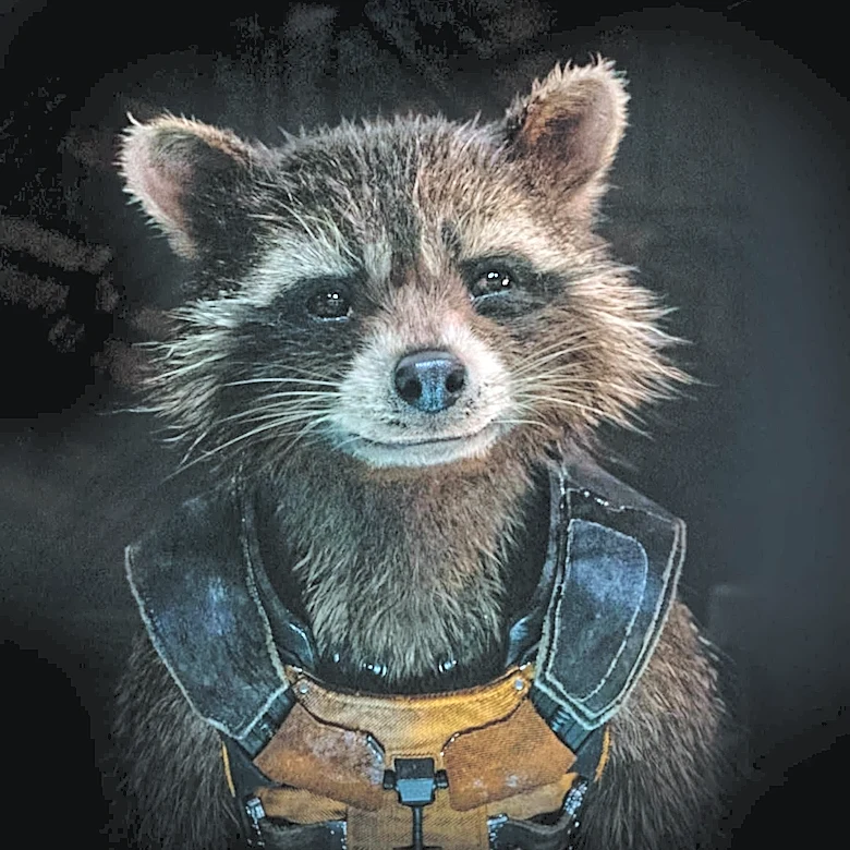 LEGOLAND Discovery Center Unveils LEGO Figure of Seattle's Viral Raccoon Jimothy