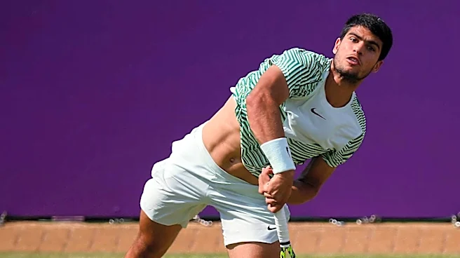 Concerns Over Carlos Alcaraz's Injury and Mental Health Raised by Italian Tennis Doctor