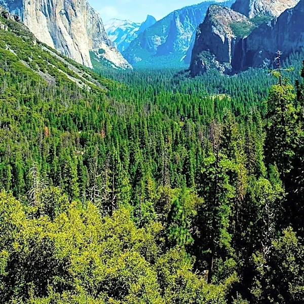 Record-Setting El Capitan Climber Dies in Sierra Nevada Accident