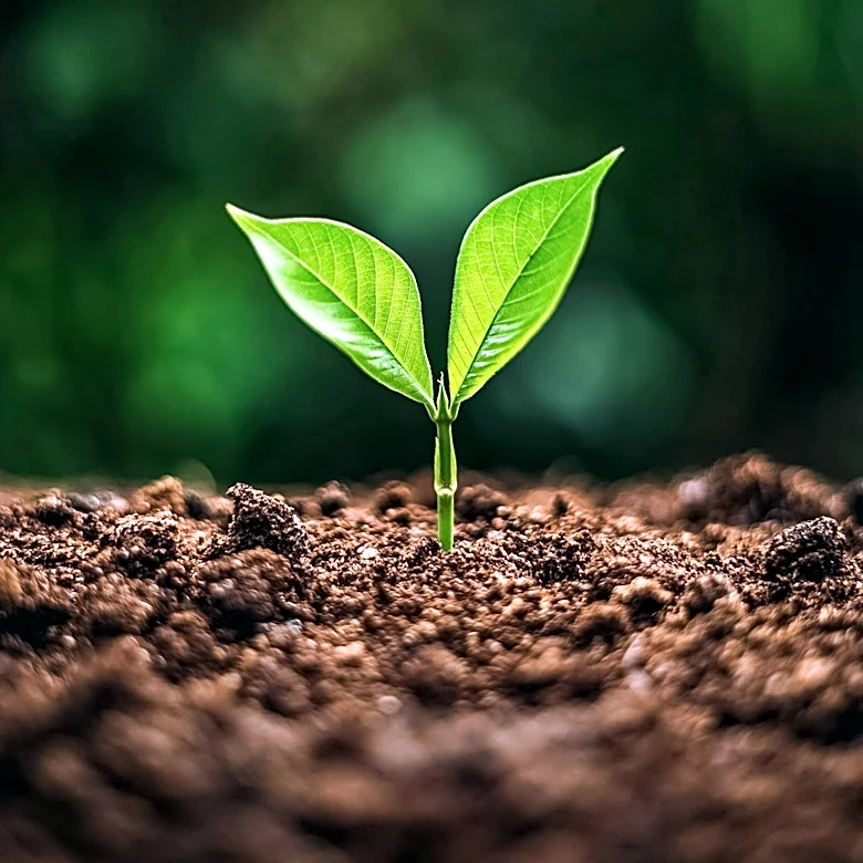 Element One Accelerates Growth in Natural Hydrogen and Critical Minerals
