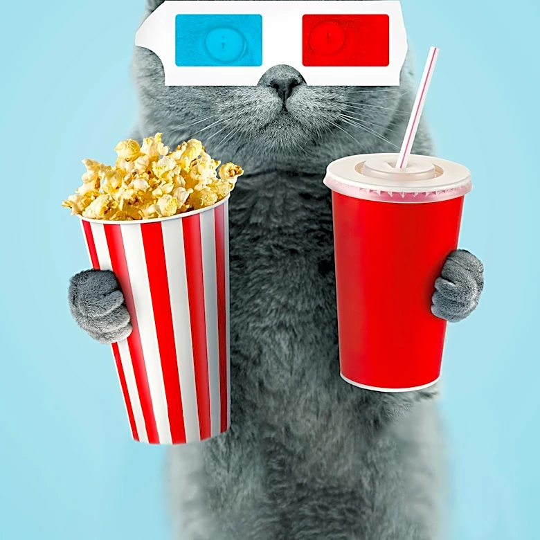 CatVideoFest 2026 Outperforms Anthony Bourdain Biopic and Meghan Markle Documentary at Box Office