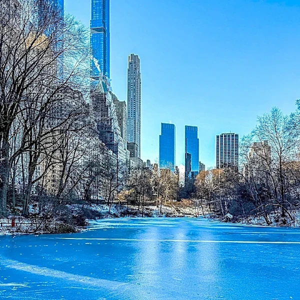 New York's Bid for 2042 Winter Olympics Aims for Urban Development