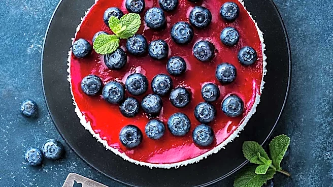 Heidelbeer-Quark-Torte: A Gelatin-Free Summer Dessert
