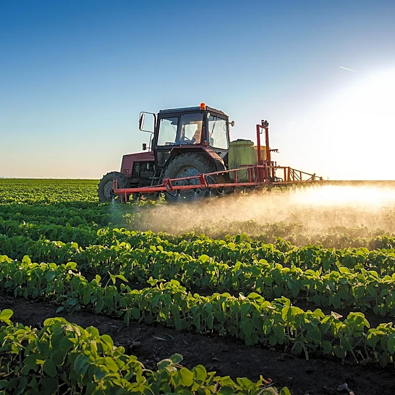 Former Taylor Farms Executive Accused of Embezzling $32 Million Amid Cyclospora Outbreak
