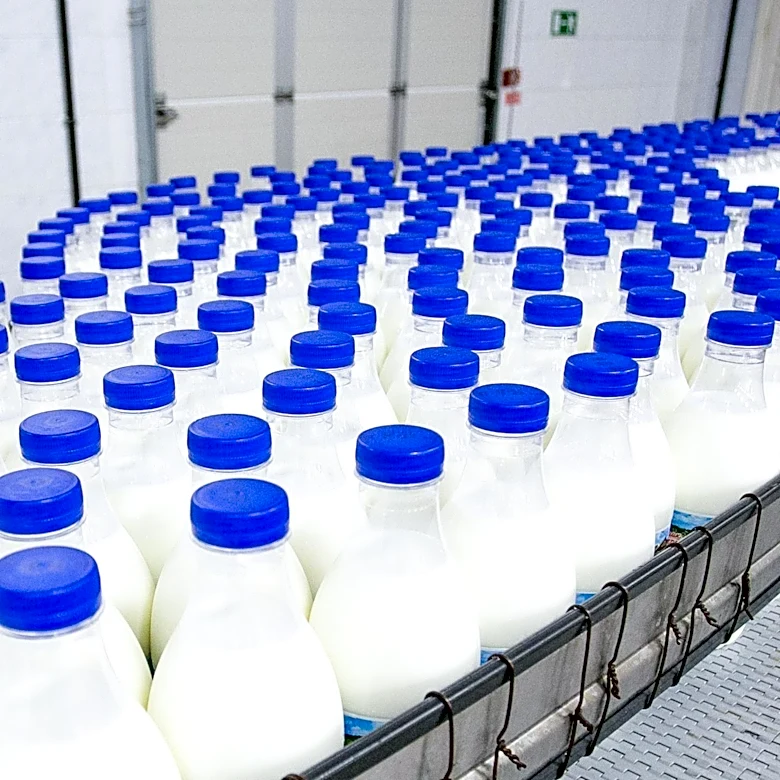 Conveyor Systems Benefit from Predictive Maintenance to Cut Downtime