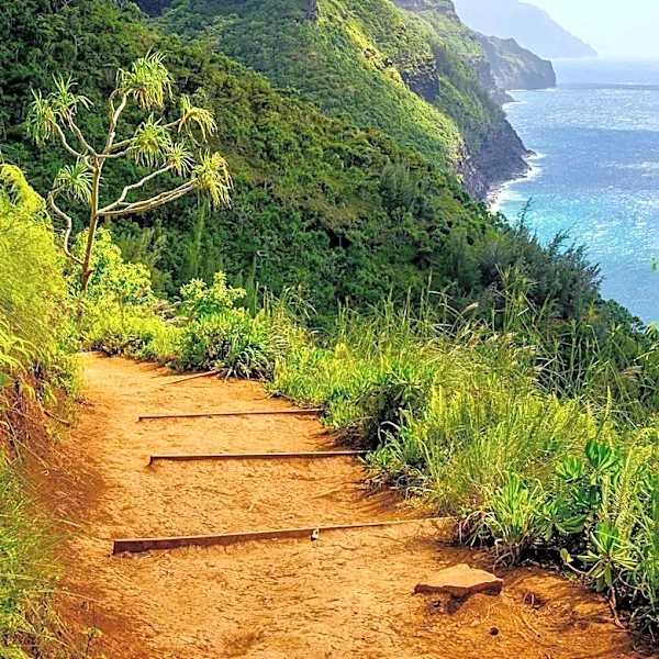 Hawaii State Partners with Nonprofit to Enhance Island Trails