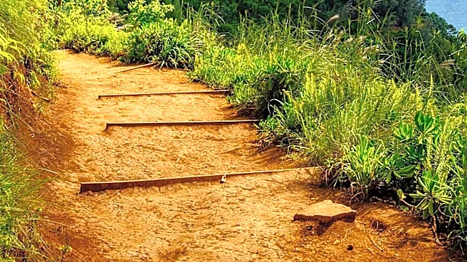 Hawaii State Partners with Nonprofit to Enhance Island Trails