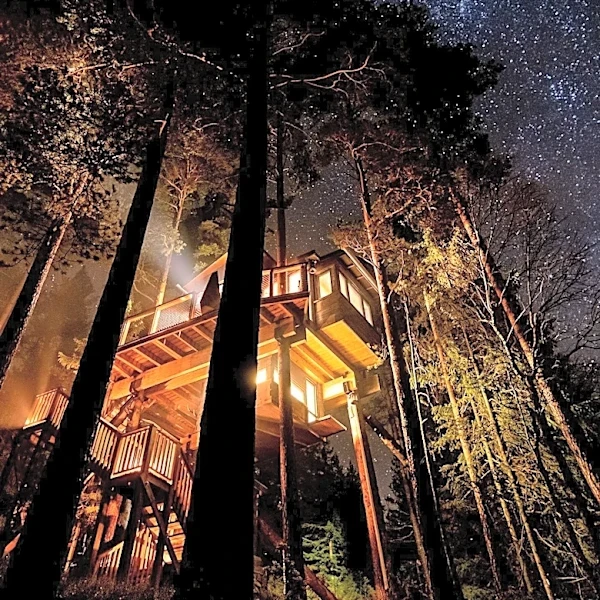 Treehouse Retreats Offer Unique Nature Experience in France
