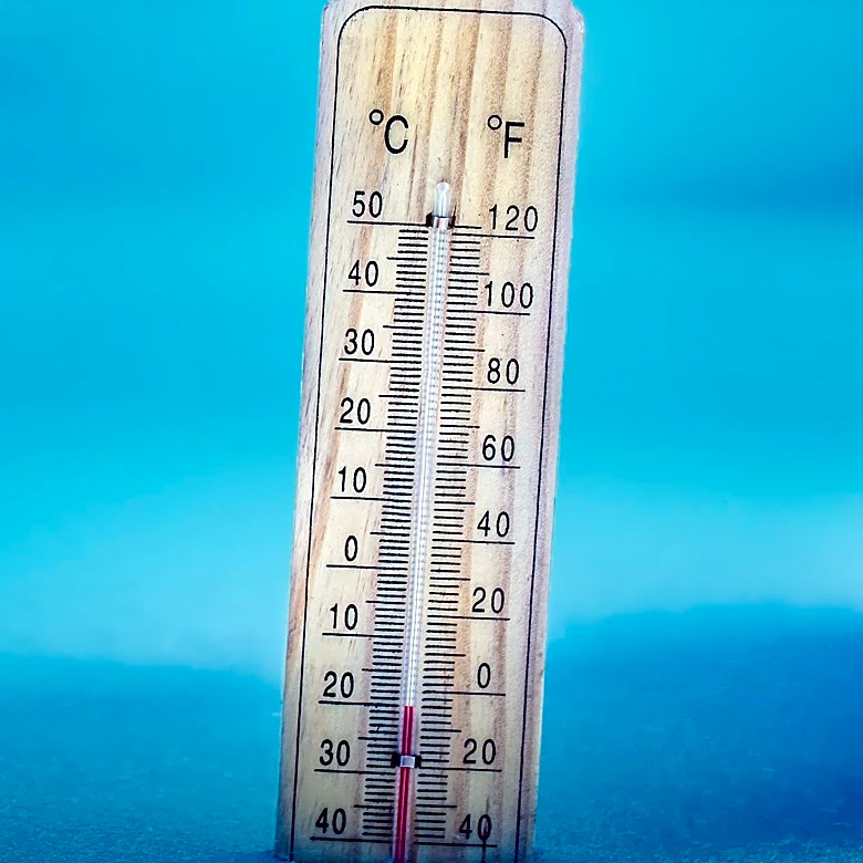 Celsius Faces Market Challenges as Revenue Declines